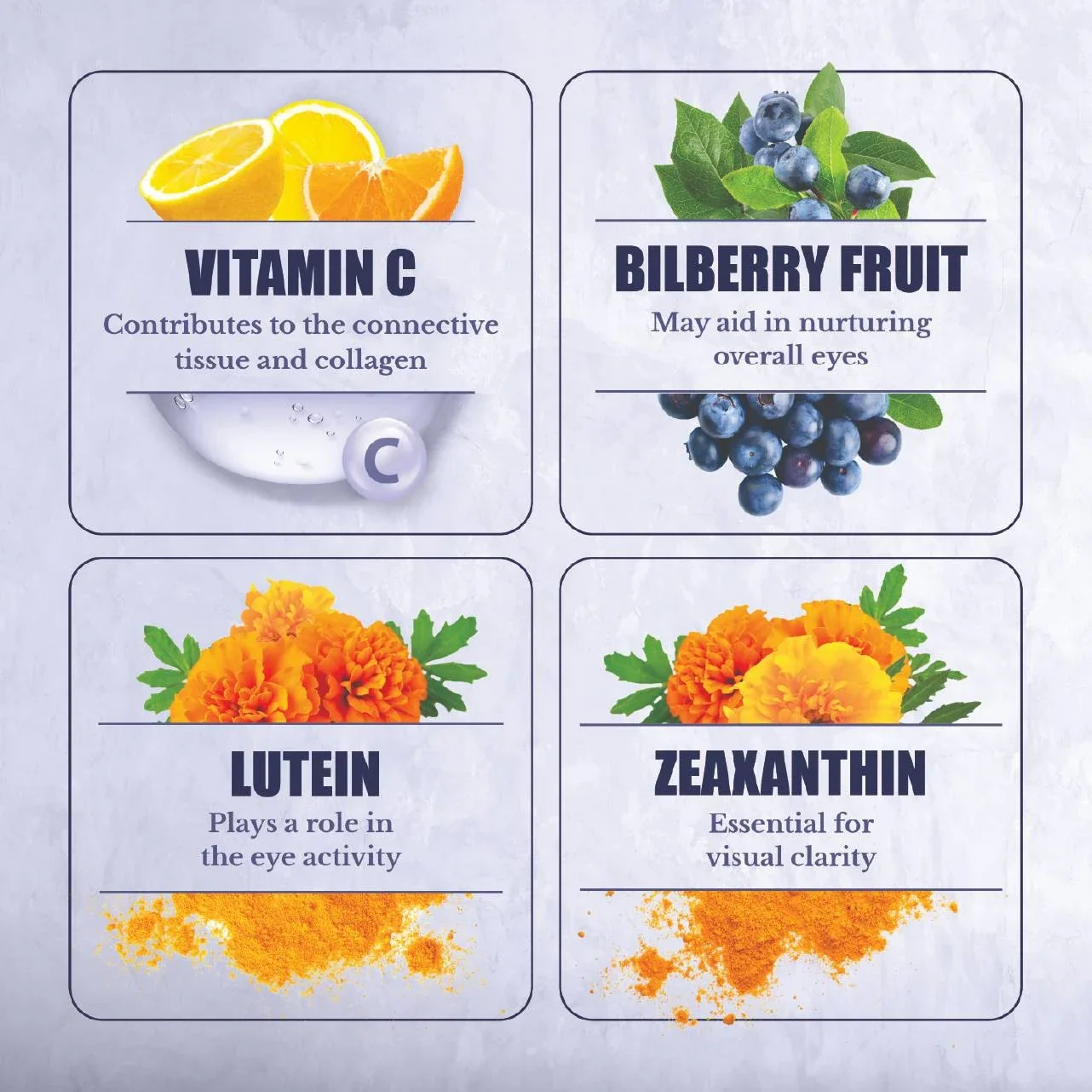 Vision Nutri Complex Ingredients